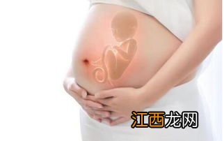 怀孕肿怎么办吃什么好呢