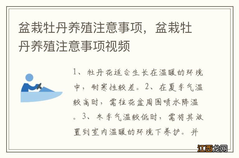 盆栽牡丹养殖注意事项，盆栽牡丹养殖注意事项视频