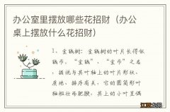 办公桌上摆放什么花招财 办公室里摆放哪些花招财