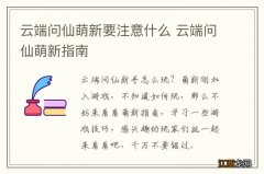 云端问仙萌新要注意什么 云端问仙萌新指南