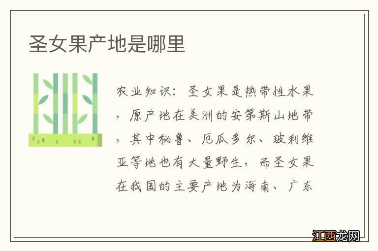 圣女果产地是哪里