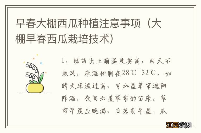 大棚早春西瓜栽培技术 早春大棚西瓜种植注意事项