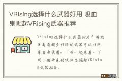 VRising选择什么武器好用 吸血鬼崛起VRising武器推荐