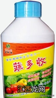 芒果菜收后放什么肥料