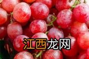 孕妇能不能吃花菜 孕妇怎么吃花菜好