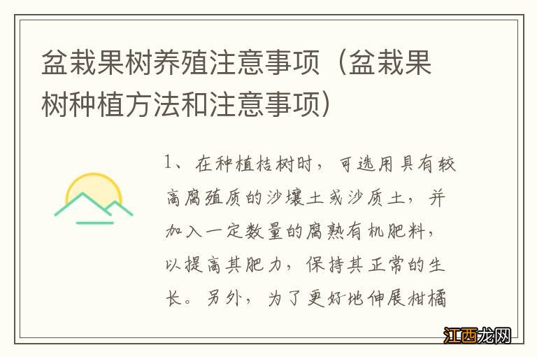 盆栽果树种植方法和注意事项 盆栽果树养殖注意事项