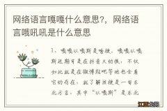 网络语言嘎嘎什么意思?，网络语言哦吼吼是什么意思