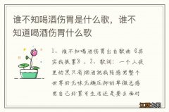 谁不知喝酒伤胃是什么歌，谁不知道喝酒伤胃什么歌