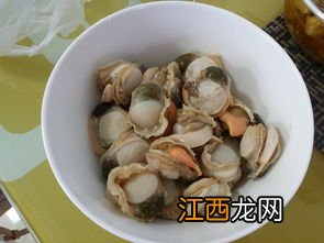 水煮扇贝用什么水