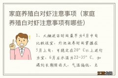 家庭养殖白对虾注意事项有哪些 家庭养殖白对虾注意事项