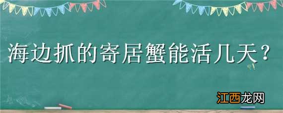 海边抓的寄居蟹能活几天