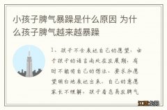 小孩子脾气暴躁是什么原因 为什么孩子脾气越来越暴躁