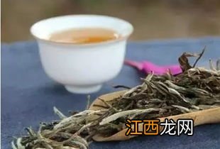 福鼎老白茶怎么煮