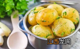 大土豆要煮多久