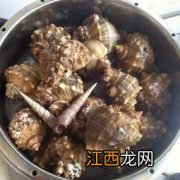 波螺煮多久能熟