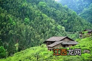 武夷山名字怎么来的