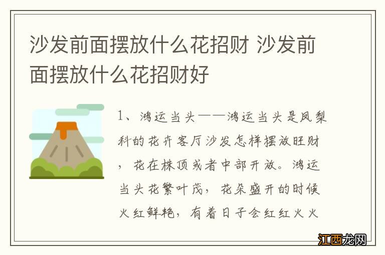 沙发前面摆放什么花招财 沙发前面摆放什么花招财好