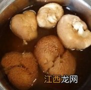 猴头菇粉怎么使用