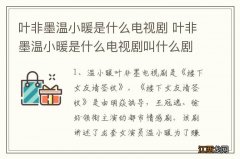 叶非墨温小暖是什么电视剧 叶非墨温小暖是什么电视剧叫什么剧名