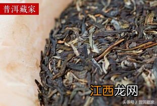 普洱生茶怎么分好