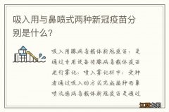 吸入用与鼻喷式两种新冠疫苗分别是什么?