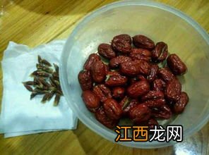 红枣包糯米怎么做