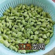 茭白毛豆烧什么