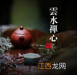 云水禅心普洱怎么样