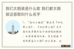 我们太假装是什么歌 我们都太假装这首歌叫什么名字