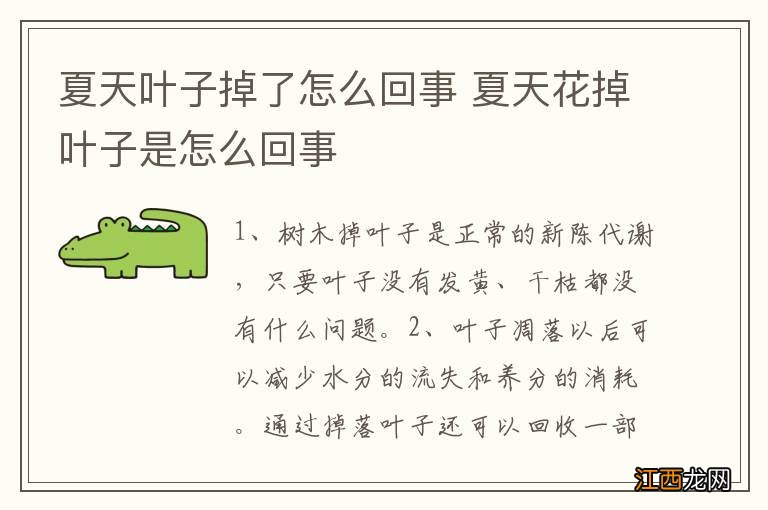 夏天叶子掉了怎么回事 夏天花掉叶子是怎么回事