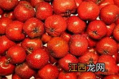 蜂蜜腌山楂能放多久