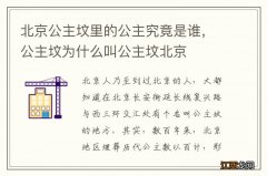 北京公主坟里的公主究竟是谁，公主坟为什么叫公主坟北京