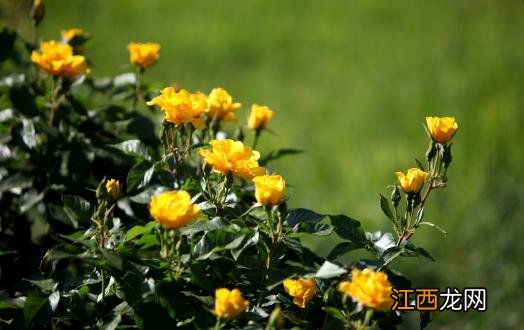 春季脸部皮肤过敏 应对过敏最有效的方法