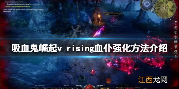 vrising如何强化血仆 吸血鬼崛起v rising血仆强化方法介绍