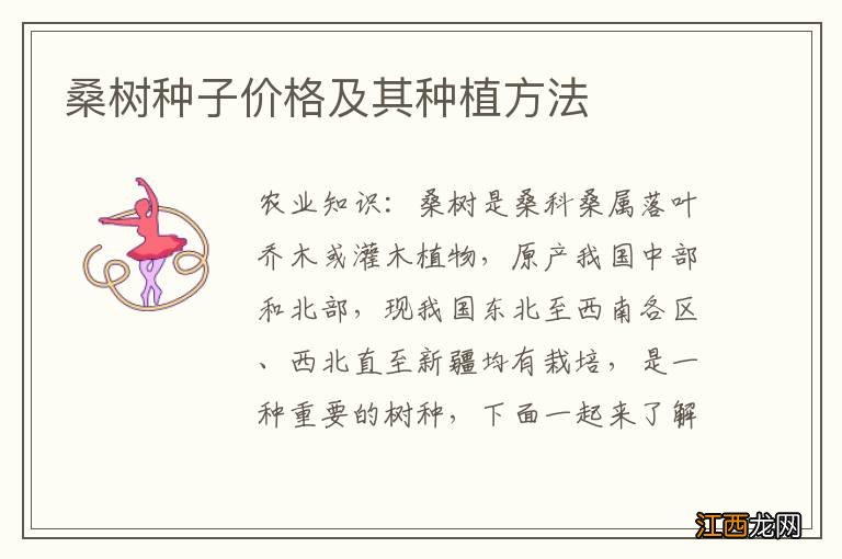 桑树种子价格及其种植方法