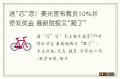 透“芯”凉！美光宣布裁员10%并停发奖金 最新财报又“跪了”