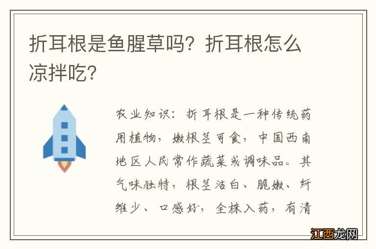 折耳根是鱼腥草吗？折耳根怎么凉拌吃？