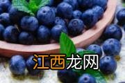 蓝莓是热带水果吗 蓝莓属于热性还是凉性