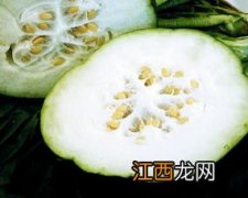 冬瓜有什么吃法