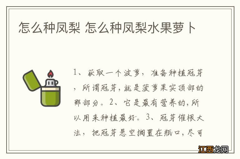 怎么种凤梨 怎么种凤梨水果萝卜