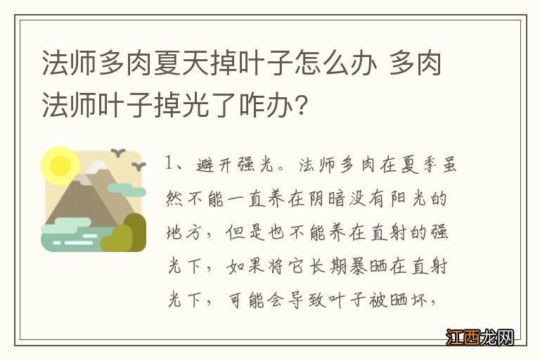 法师多肉夏天掉叶子怎么办 多肉法师叶子掉光了咋办?