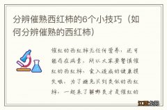 如何分辨催熟的西红柿 分辨催熟西红柿的6个小技巧