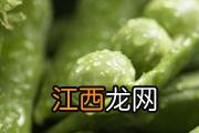 花螺煮多久时间才熟 花螺怎么洗最干净