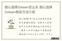 甜心选择2steam怎么买 甜心选择2steam购买方法介绍