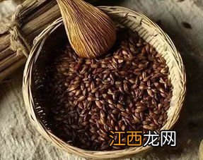 大麦茶怎么