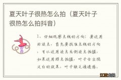 夏天叶子很热怎么拍抖音 夏天叶子很热怎么拍