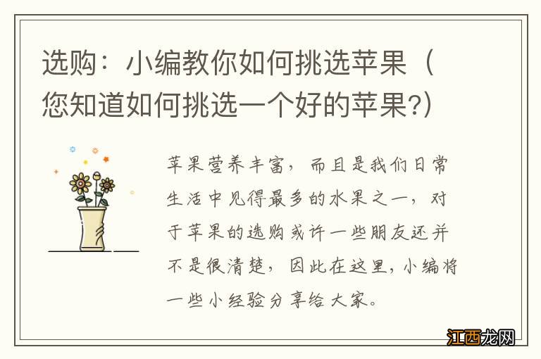 您知道如何挑选一个好的苹果? 选购:小编教你如何挑选苹果