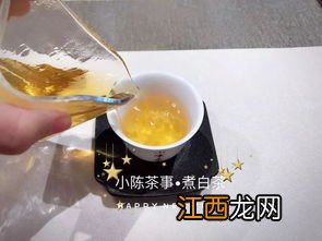 煮茶要煮多久