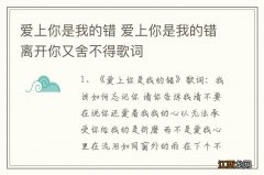 爱上你是我的错 爱上你是我的错离开你又舍不得歌词