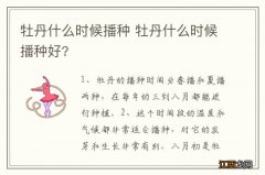 牡丹什么时候播种 牡丹什么时候播种好?